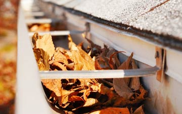 Dore gutter cleaning companies